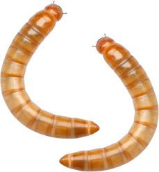 Feeder Insects Live Mealworm Reptile Food, Large, 1000 count