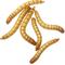 Show in main carousel: Feeder Insects Live Mealworm Reptile Food, Large, 500 count slide 1 of 6