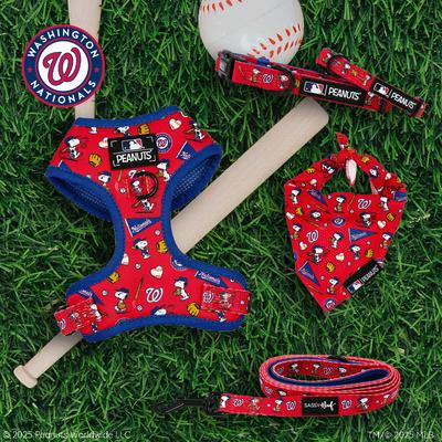 Show full view: Sassy Woof MLB x Peanuts Washington Nationals Dog Leash, 5-ft long, 3/4-in wide slide 5 of 5