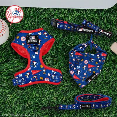 Show full view: Sassy Woof MLB x Peanuts Dog Bandana, New York Yankees, Small: 13-in neck slide 5 of 7