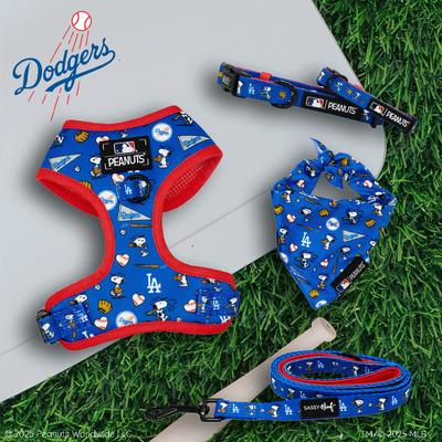 Show full view: Sassy Woof MLB x Peanuts Los Angeles Dodgers Dog Collar, Large: 26-in neck, 1-in wide slide 5 of 6