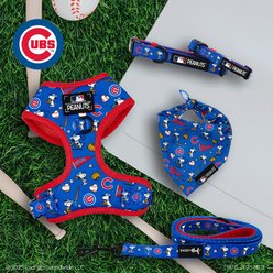 Sassy Woof MLB x Peanuts Chicago Cubs Dog Collar, Medium: 19.7-in neck, 3/4-in wide slide 2 of 6