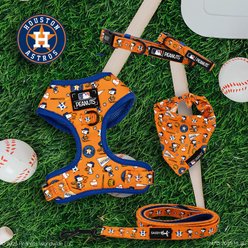 Sassy Woof MLB x Peanuts Houston Astros Dog Leash, 5-ft long, 3/4-in wide slide 2 of 4