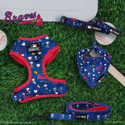 Sassy Woof MLB x Peanuts Atlanta Braves Dog Collar, Small: 13-in neck, 1.2-in wide slide 2 of 5