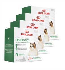 Royal Canin Probiotics Digestive & Immune Health Powder Supplement for Cats, 120 count bundle