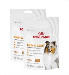 Royal Canin Skin & Coat Support Soft Chews Supplement for Adult Dogs, 60 count, bundle of 2