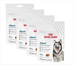 Royal Canin Joint Support Soft Chews Supplement for Adult Dogs, 60 count, bundle of 4