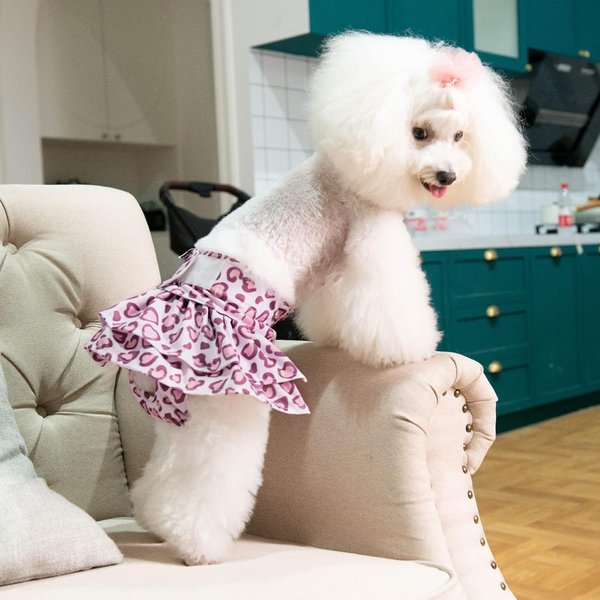 Show full view: CuteBone Washable & Reusable Leopard Print Female Dog Diapers with Skirts, 3 count, X-Small: 10-in waist slide 4 of 9