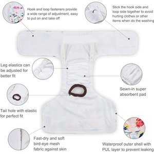 CuteBone Reusable Female Dog Diapers, 3 count, Large: 20 to 27-in waist, Leaf