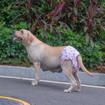 Show full view: CuteBone Reusable Female Dog Diapers, 3 count, Large: 20 to 27-in waist, Unicorn & Pig & Sheep slide 4 of 11