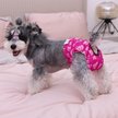Show in main carousel: CuteBone Washable & Reusable Female Dog Diapers, 3 count, Medium: 16 to 21-in waist slide 4 of 10