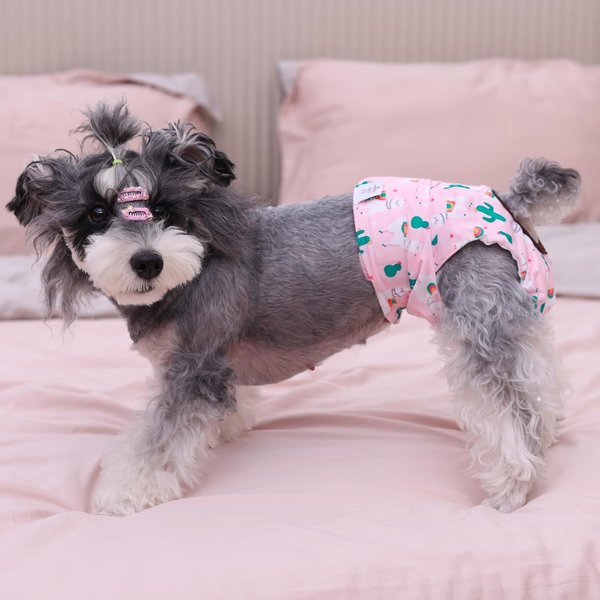 Show full view: CuteBone Washable & Reusable Female Dog Diapers, 3 count, Medium: 16 to 21-in waist slide 7 of 10