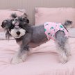 Show in main carousel: CuteBone Washable & Reusable Female Dog Diapers, 3 count, Medium: 16 to 21-in waist slide 7 of 10
