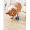 Show in main carousel: EYS PetGravity Auto-Interactive Bounce & Dog Treat Dispenser Ball Toy, Blue slide 9 of 10