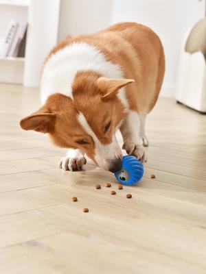 Show full view: EYS PetGravity Auto-Interactive Bounce & Dog Treat Dispenser Ball Toy, Blue slide 9 of 10