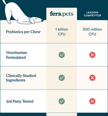 Show full view: Fera Pets Multivitamin Soft Chews Supplement for Dogs, 10 count slide 5 of 11