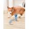 Show in main carousel: EYS PetGravity Auto-Interactive Bounce & Dog Treat Dispenser Ball Toy, Blue slide 5 of 10