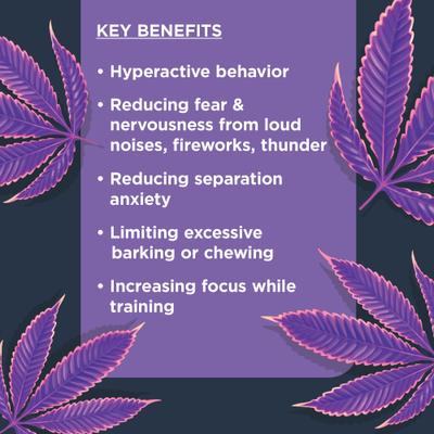 Show full view: Nulo Calming Soft Chew Dog Supplement, 90 Count slide 4 of 12