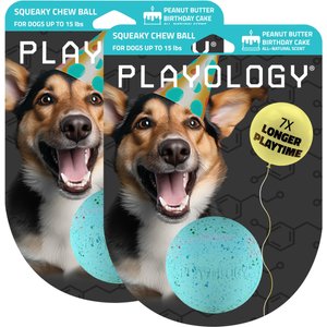 Playology Peanut Butter Birthday Cake Squeaky Dog Ball, Blue, Small, 2 count