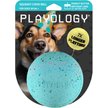 Show in main carousel: Playology Peanut Butter Birthday Cake Squeaky Dog Ball, Blue, Jumbo slide 1 of 7