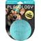 Show in main carousel: Playology Peanut Butter Birthday Cake Squeaky Dog Ball, Blue, Jumbo slide 1 of 7