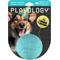 Show in main carousel: Playology Peanut Butter Birthday Cake Squeaky Dog Ball, Blue, Medium slide 1 of 7