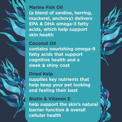 Show full view: Nulo Functional Omega-9 Coconut Flavored Soft Chews Skin & Coat Supplement for Dogs, 90 count slide 5 of 12