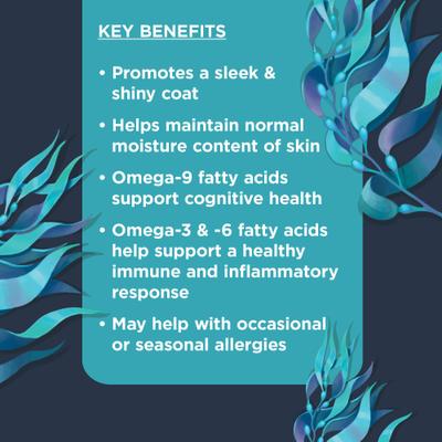 Show full view: Nulo Functional Omega-9 Coconut Flavored Soft Chews Skin & Coat Supplement for Dogs, 90 count slide 4 of 12