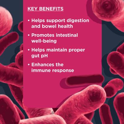 Show full view: Nulo Probiotic Beef Flavored Soft Chews Digestive Supplement for Dogs, 90 count slide 4 of 12