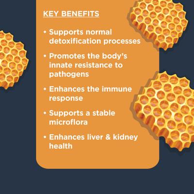 Show full view: Nulo Beef Flavored Soft Chew Immune & Allergy Supplement for Dogs, 90 Count slide 4 of 12