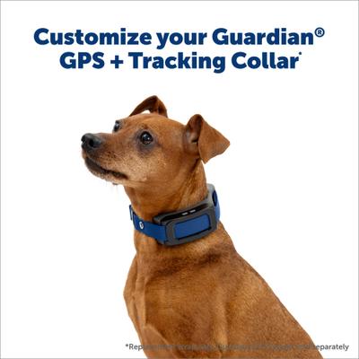 Show full view: PetSafe Guardian GPS & Tracking 2.0 Dog Fence Replacement Strap, Blue slide 2 of 6