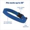 Show in main carousel: PetSafe Guardian GPS & Tracking 2.0 Dog Fence Replacement Strap, Blue slide 4 of 6