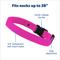 Show in main carousel: PetSafe Guardian GPS & Tracking 2.0 Dog Fence Replacement Strap, Pink slide 4 of 6