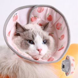 PawsPik Adjustable Dog & Cat Recovery Soft-Cone, Peach, Small