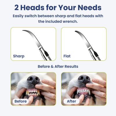 Show full view: PawsPik Ultrasonic Teeth Cleaner Dog Dental Kit, Black slide 7 of 12