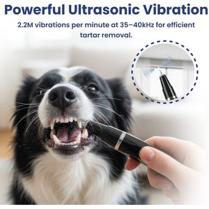 PawsPik Ultrasonic Teeth Cleaner Dog Dental Kit, Black