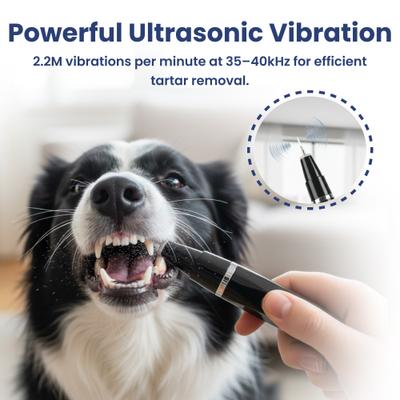 Show full view: PawsPik Ultrasonic Teeth Cleaner Dog Dental Kit, Black slide 8 of 12