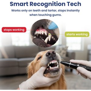 PawsPik Ultrasonic Teeth Cleaner Dog Dental Kit, Black