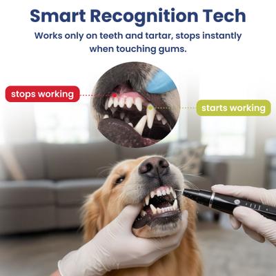 Show full view: PawsPik Ultrasonic Teeth Cleaner Dog Dental Kit, Black slide 4 of 12