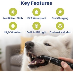 PawsPik Ultrasonic Teeth Cleaner Dog Dental Kit, Black
