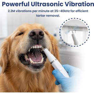 PawsPik Ultrasonic Teeth Cleaner Dog Dental Kit, White