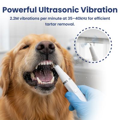 Show full view: PawsPik Ultrasonic Teeth Cleaner Dog Dental Kit, White slide 8 of 12