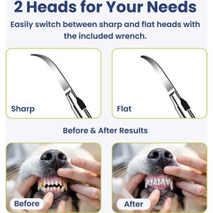 PawsPik Ultrasonic Teeth Cleaner Dog Dental Kit, White