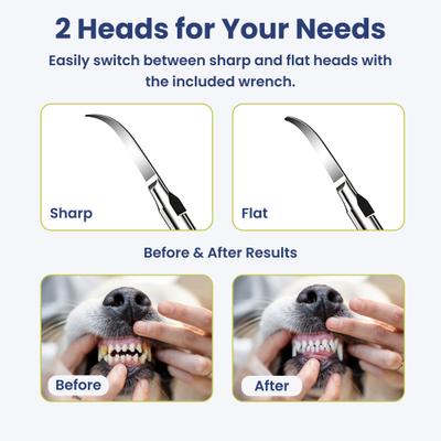 Show full view: PawsPik Ultrasonic Teeth Cleaner Dog Dental Kit, White slide 7 of 12