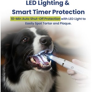 PawsPik Ultrasonic Teeth Cleaner Dog Dental Kit, White