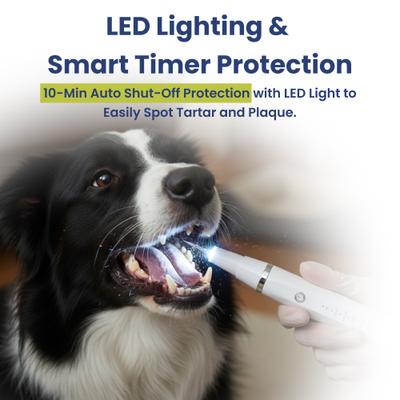 Show full view: PawsPik Ultrasonic Teeth Cleaner Dog Dental Kit, White slide 5 of 12