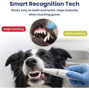 PawsPik Ultrasonic Teeth Cleaner Dog Dental Kit, White