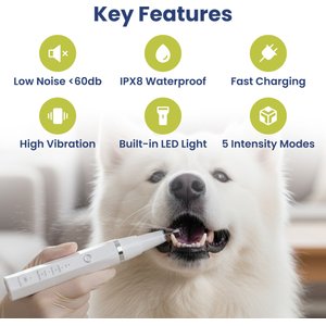 PawsPik Ultrasonic Teeth Cleaner Dog Dental Kit, White