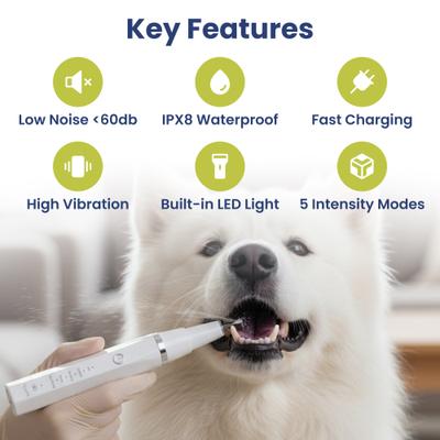 Show full view: PawsPik Ultrasonic Teeth Cleaner Dog Dental Kit, White slide 3 of 12
