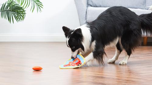 Show full view: FISHER PRICE Chicken Coop Rip N Reveal Plush Dog Toy slide 5 of 5